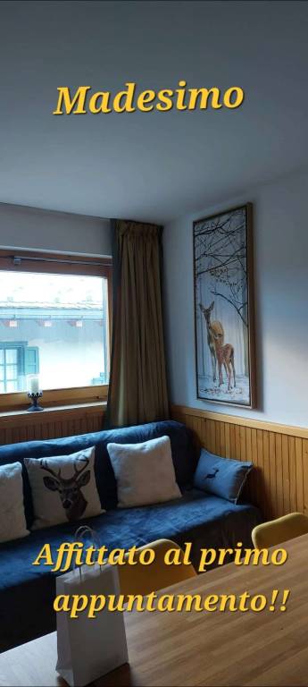 appartamento in affitto a Madesimo