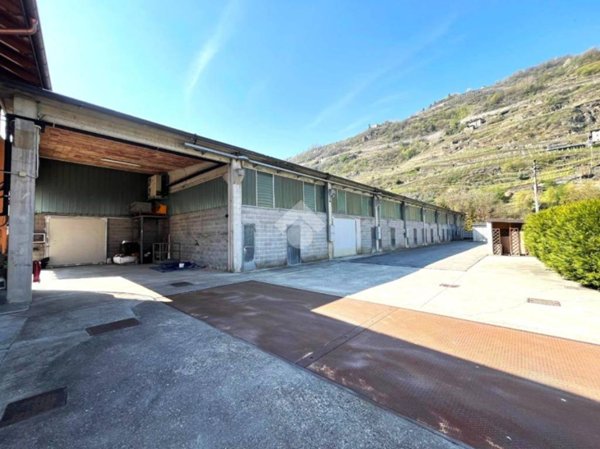 locale commerciale in affitto a Teglio in zona Tresenda