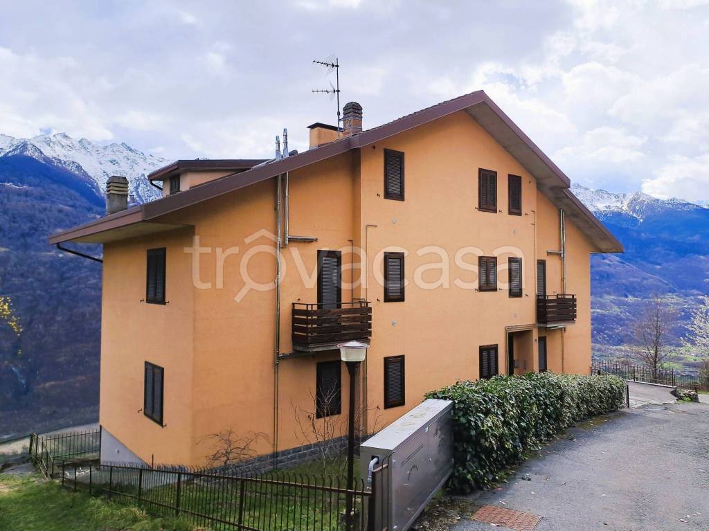 appartamento in affitto a Teglio