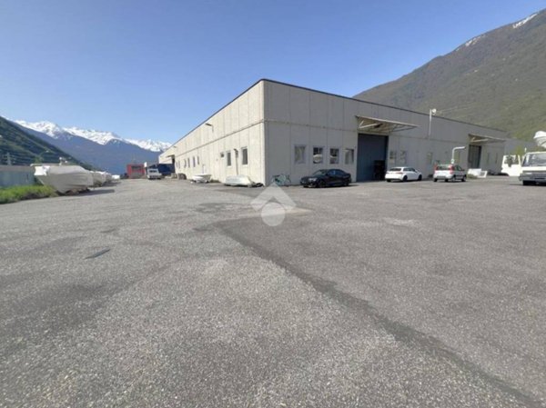 appartamento in affitto a Tirano