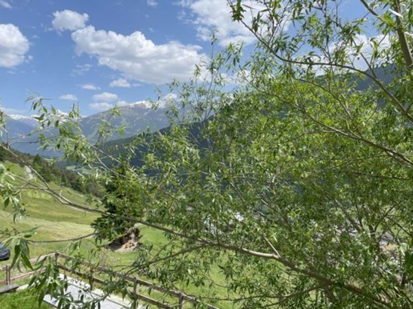 appartamento in affitto a Valdidentro