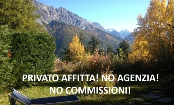appartamento in affitto a Valdisotto in zona Piazza