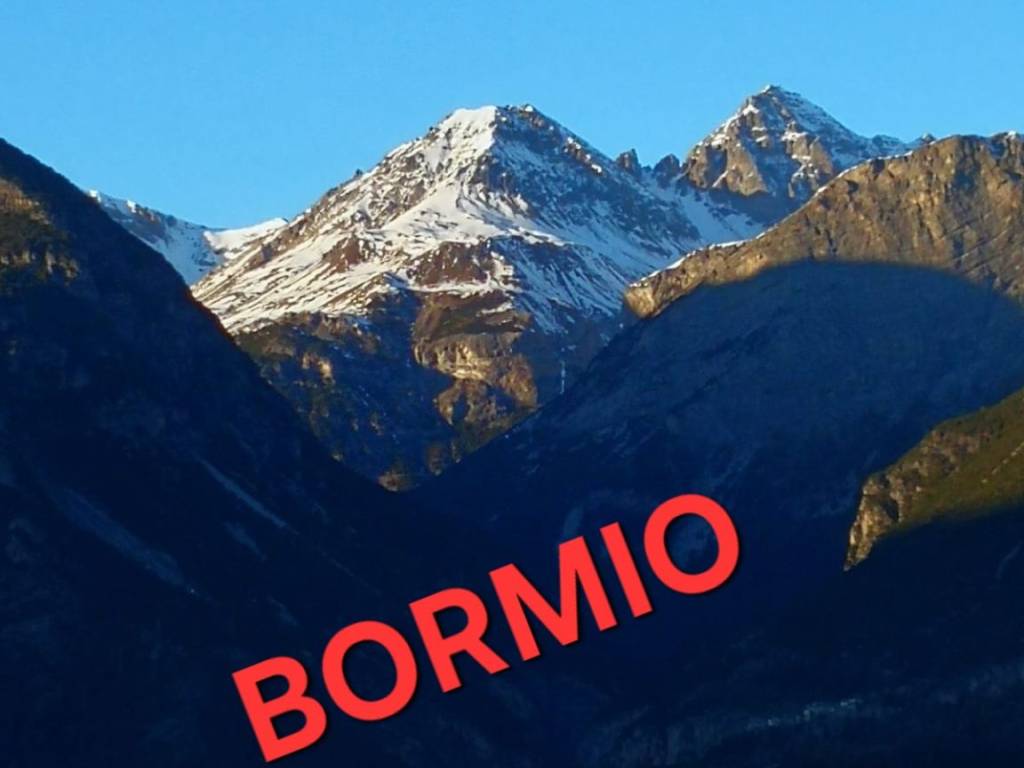 appartamento in affitto a Valdisotto in zona San Pietro