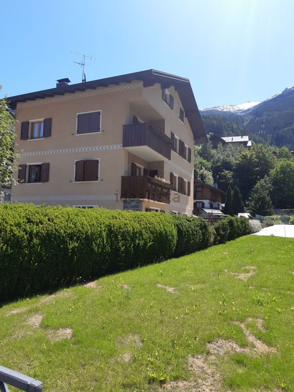 appartamento in affitto a Valdisotto