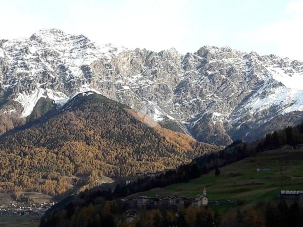 appartamento in affitto a Valdisotto in zona Cepina