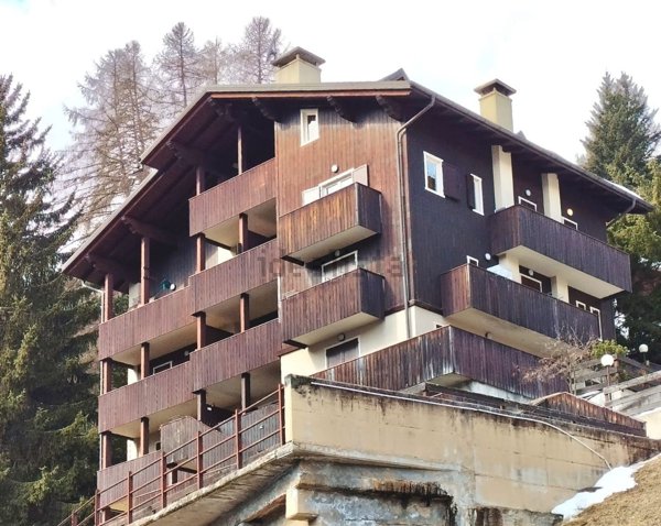 appartamento in affitto a Valdisotto