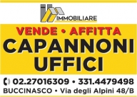 negozio in affitto ad Assago