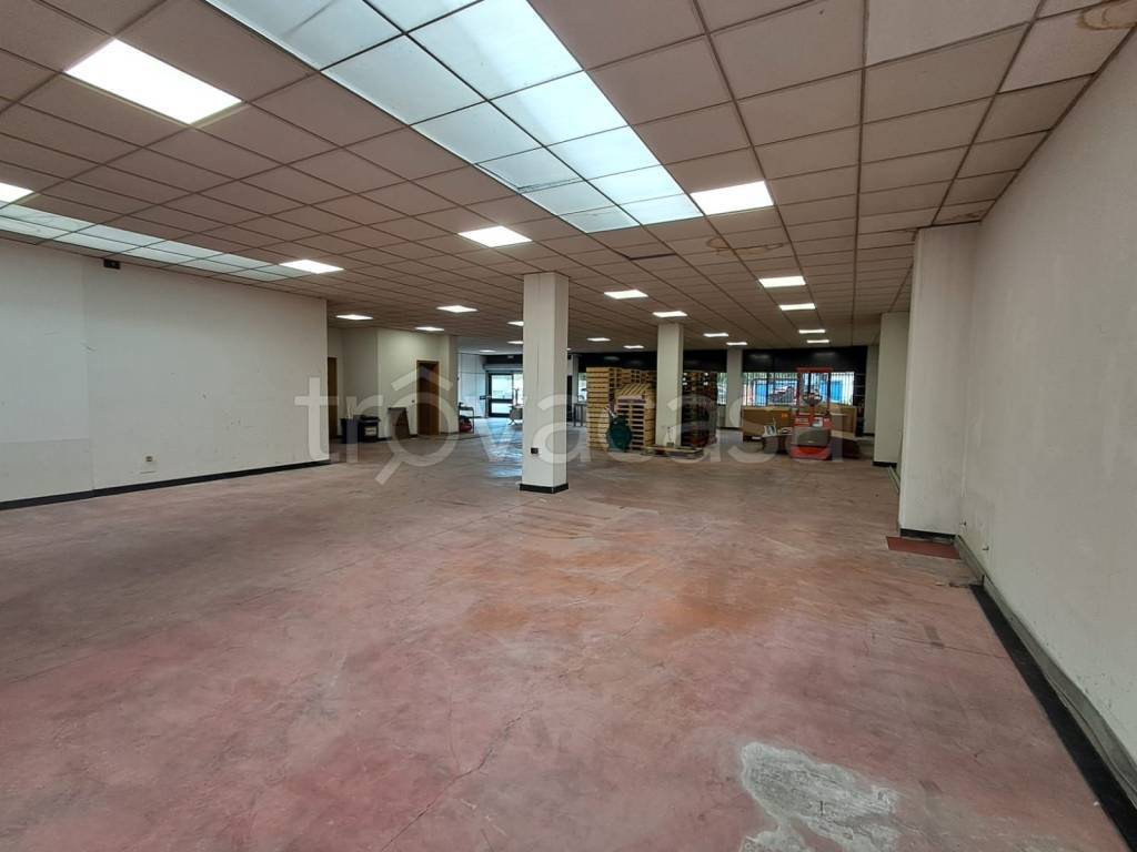 appartamento in affitto ad Assago