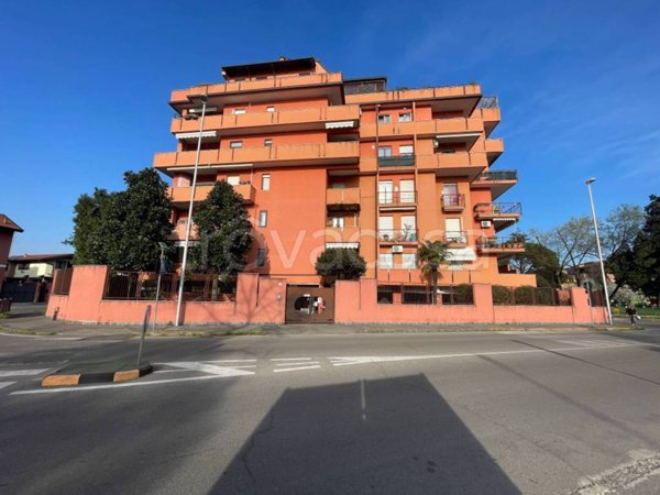 appartamento in affitto a Bareggio