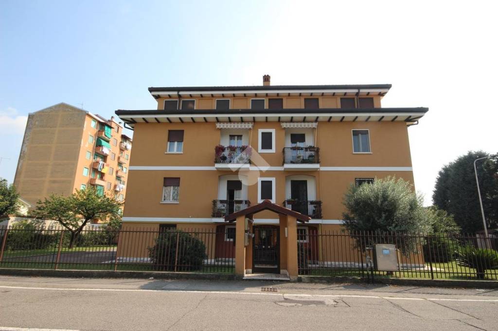 appartamento in affitto a Bareggio