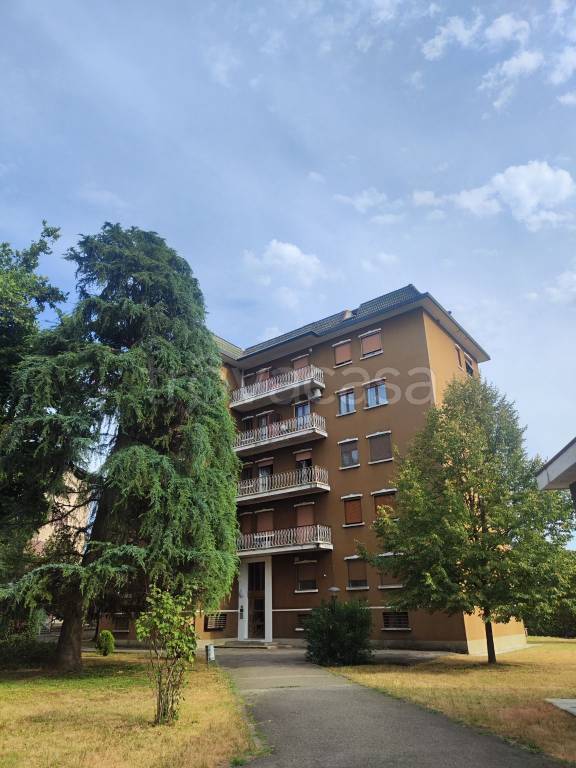 appartamento in affitto a Bareggio