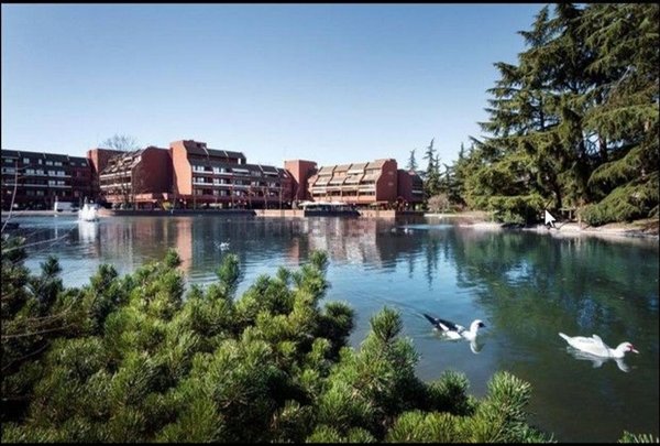 appartamento in affitto a Basiglio