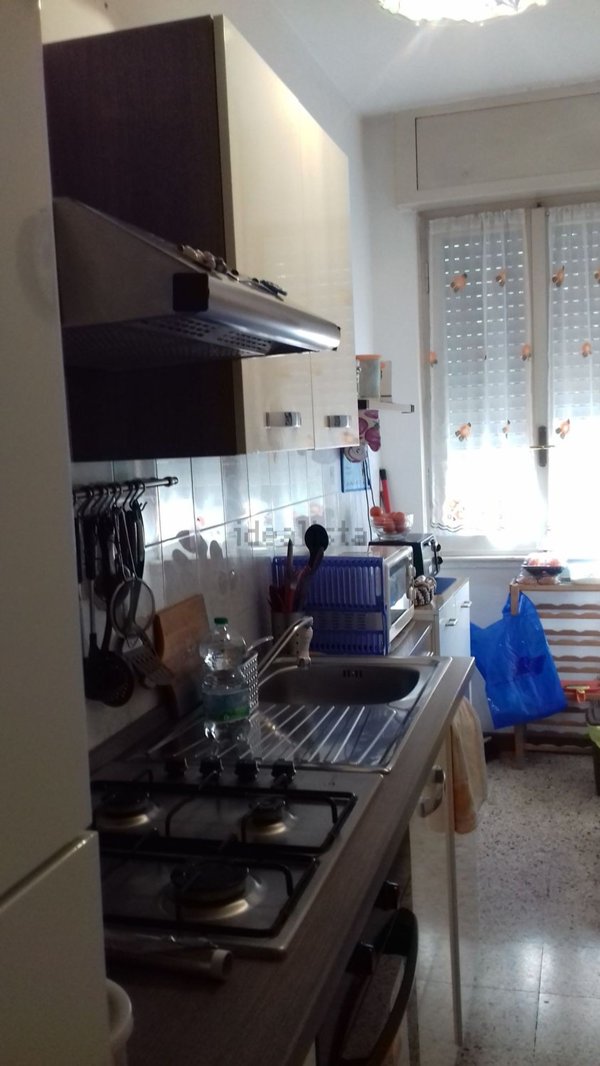 appartamento in affitto a Bollate