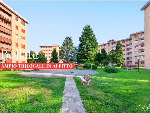 appartamento in affitto a Bollate
