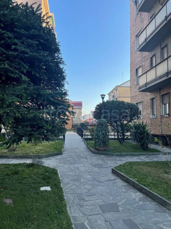 appartamento in affitto a Bresso