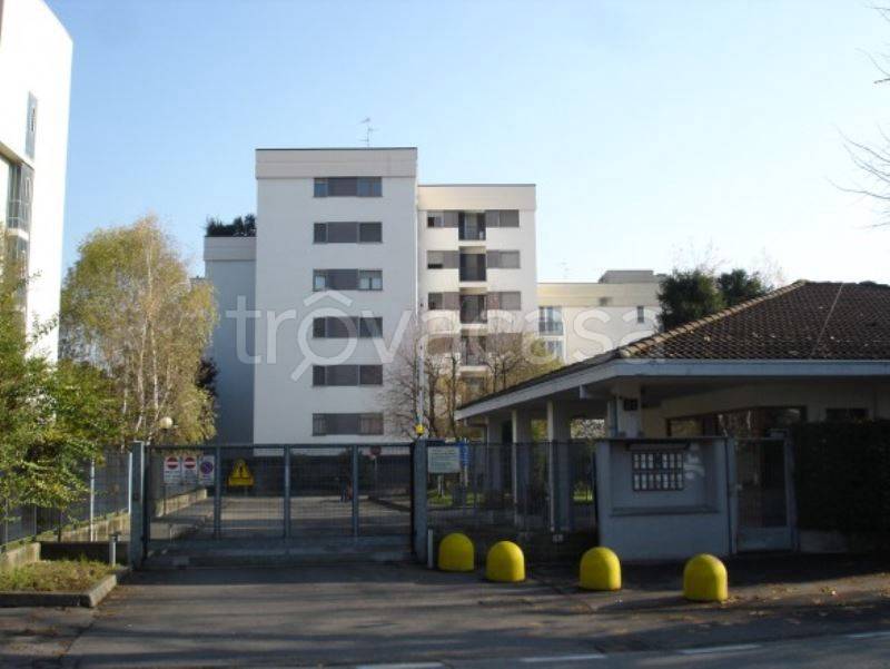 appartamento in affitto a Buccinasco