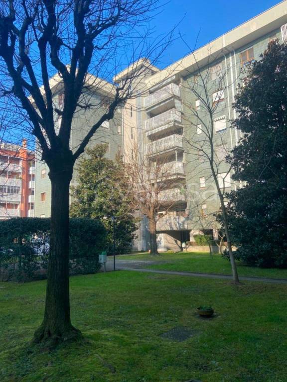 appartamento in affitto a Buccinasco