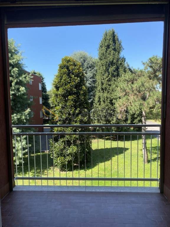 appartamento in affitto a Buccinasco