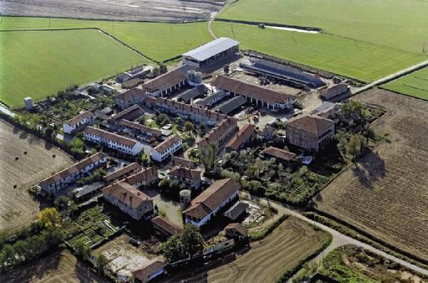 appartamento in affitto a Buccinasco