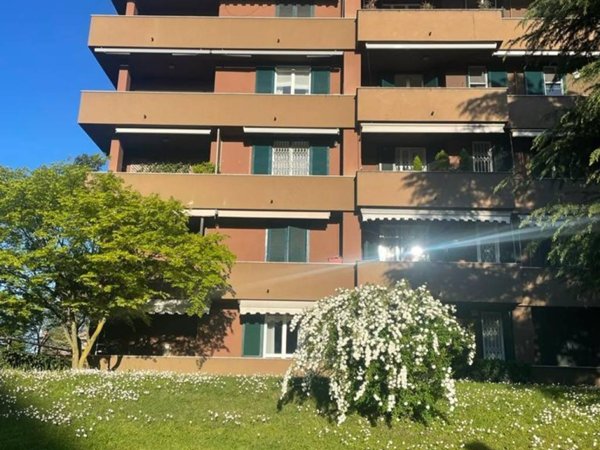 appartamento in affitto a Buccinasco