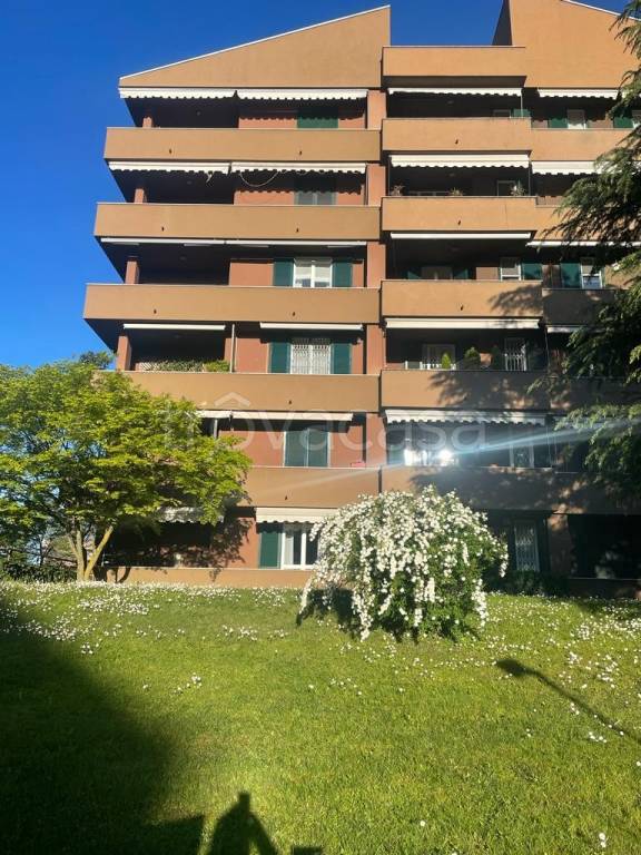 appartamento in affitto a Buccinasco