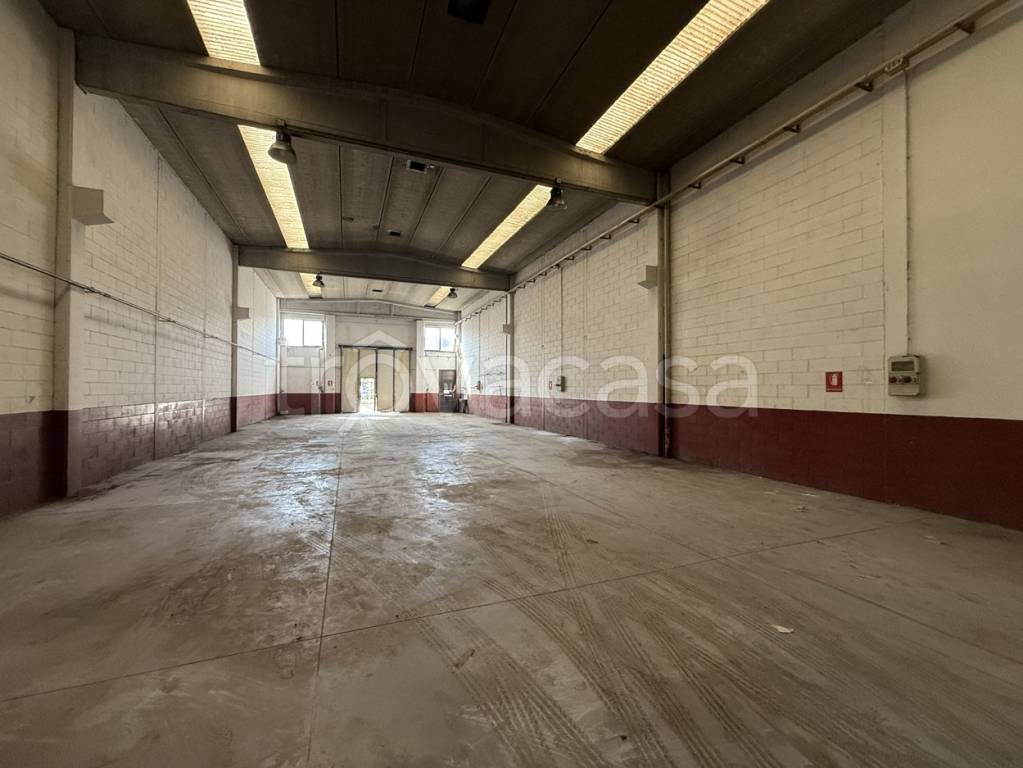 appartamento in affitto a Buccinasco