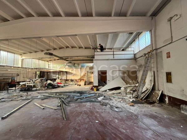 appartamento in affitto a Buccinasco