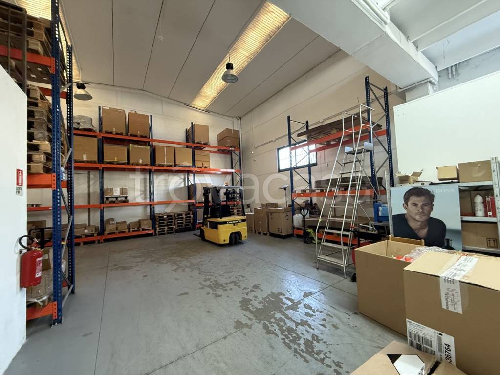 appartamento in affitto a Buccinasco