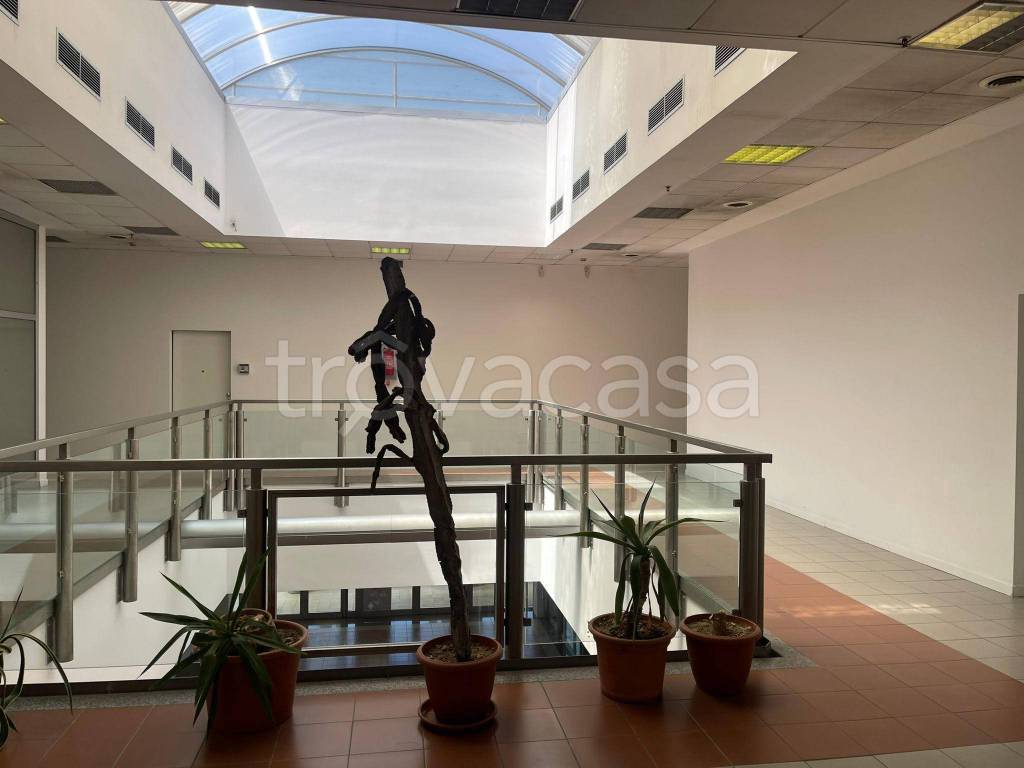 appartamento in affitto a Buccinasco