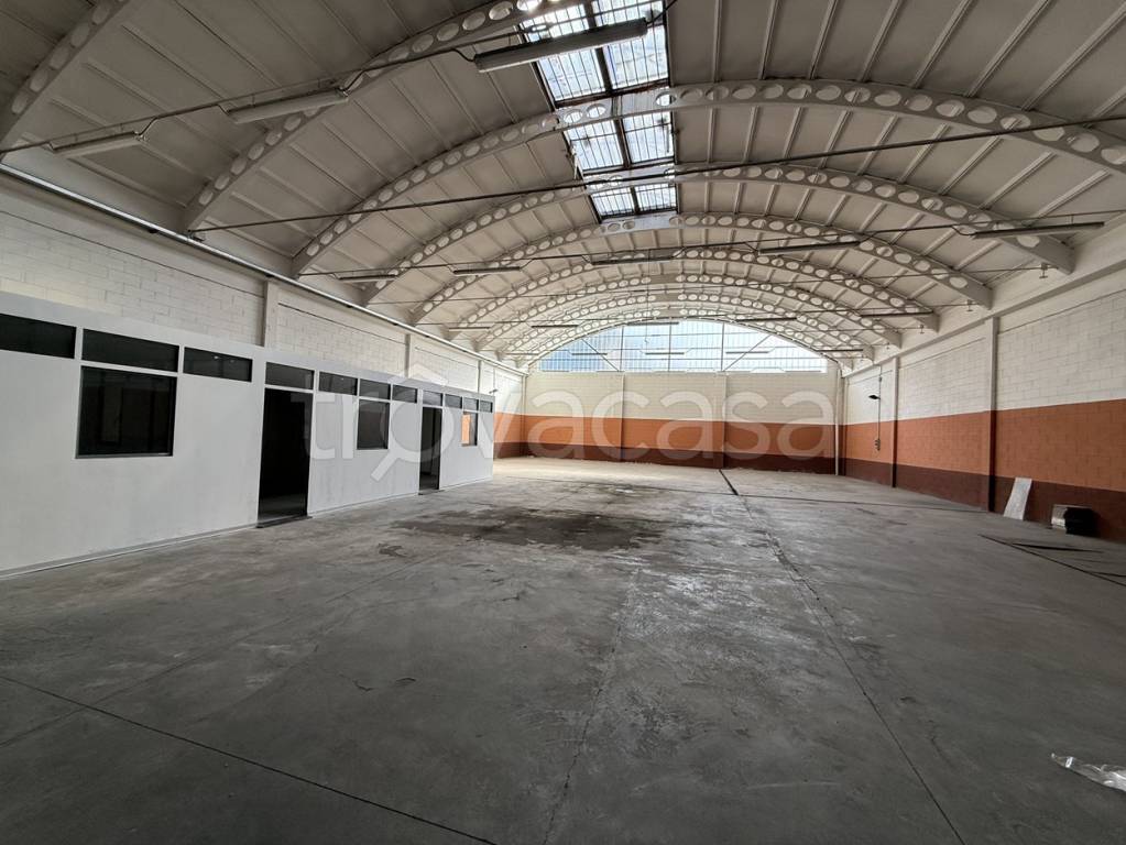 immagine annuncio 0 di 12