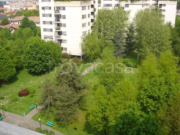 appartamento in affitto a Buccinasco