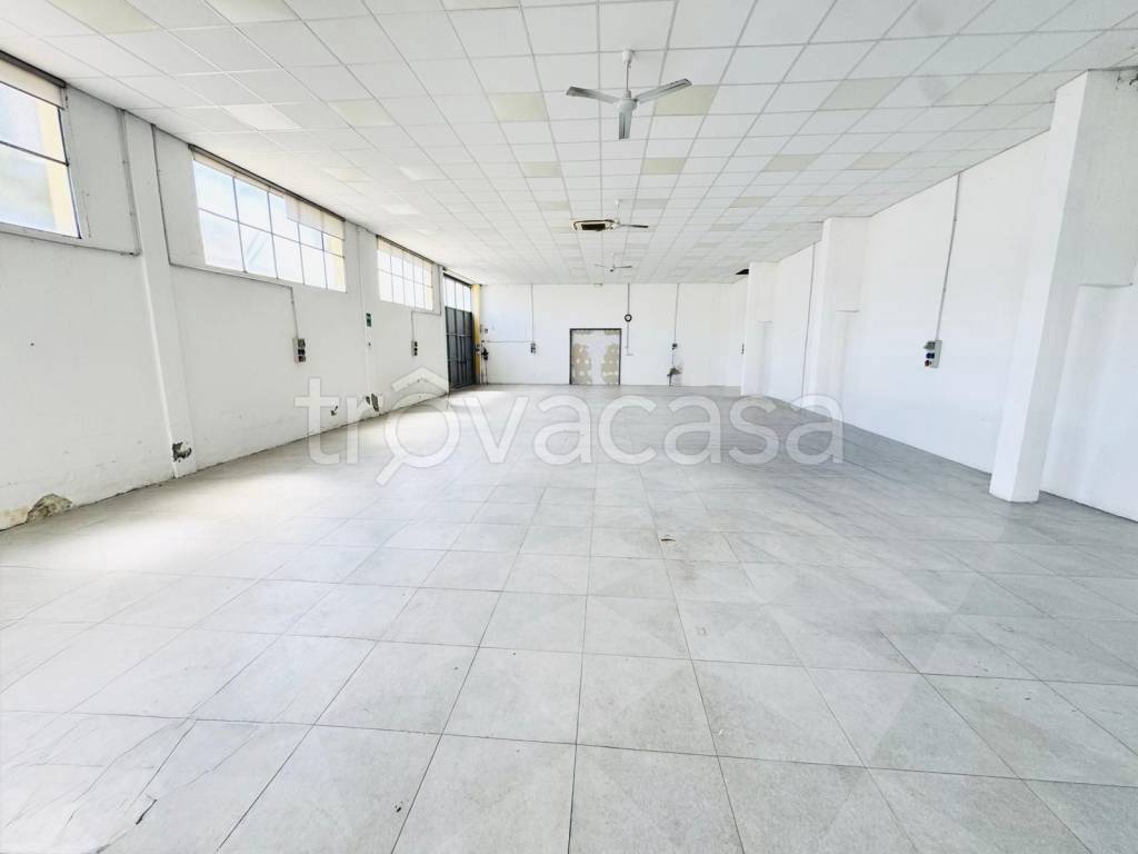 appartamento in affitto a Buccinasco