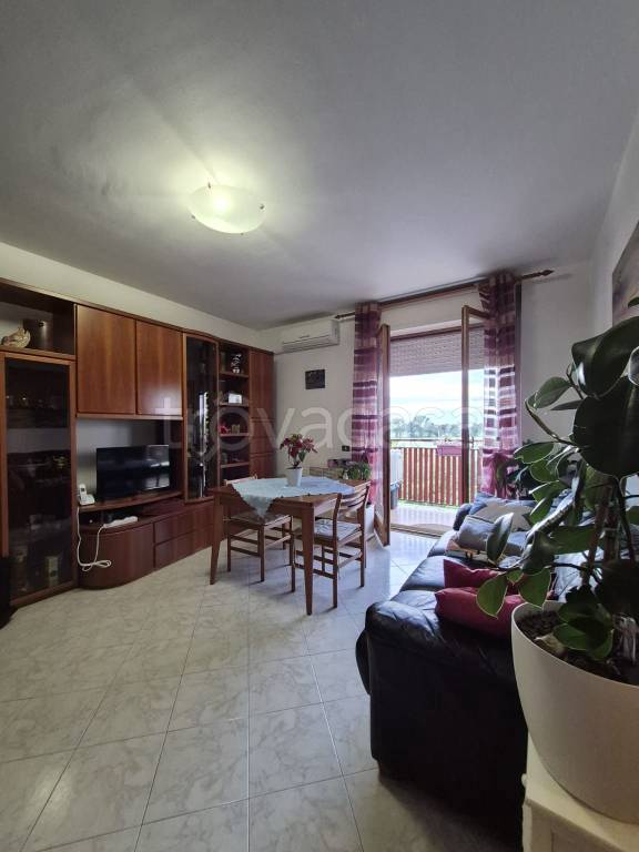 appartamento in affitto a Buccinasco