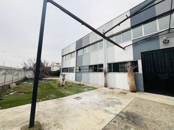 locale commerciale in affitto a Buccinasco