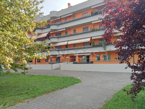 appartamento in affitto a Bussero