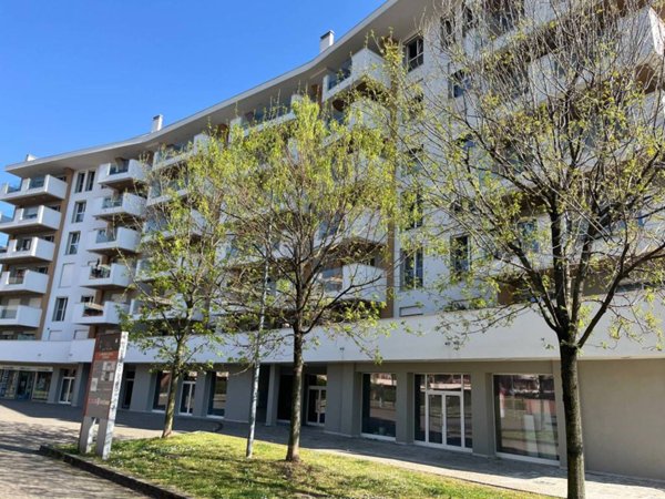 appartamento in affitto a Canegrate