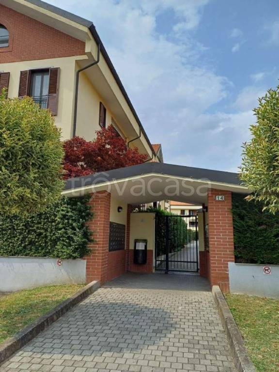 appartamento in affitto a Cassina de' Pecchi