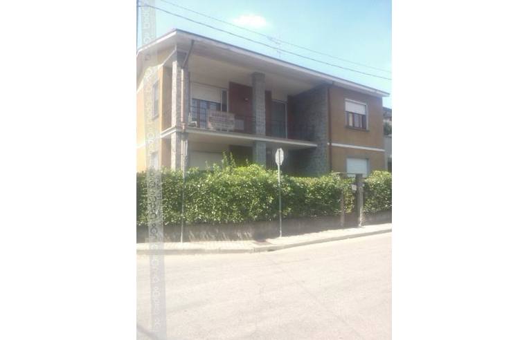 immagine annuncio 0 di 1