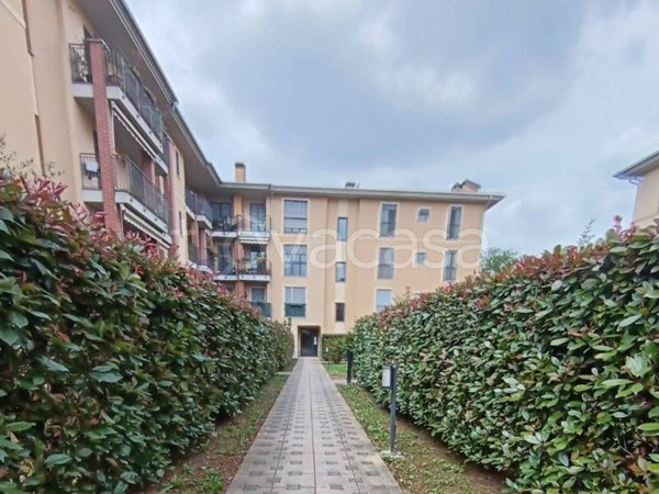 appartamento in affitto a Cernusco sul Naviglio