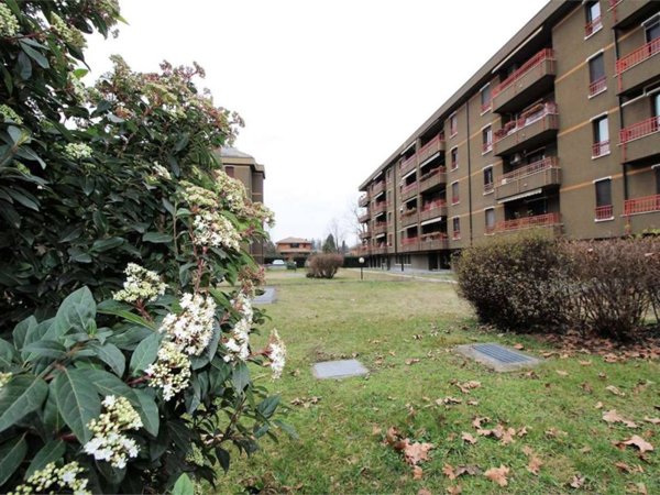 appartamento in affitto a Cernusco sul Naviglio