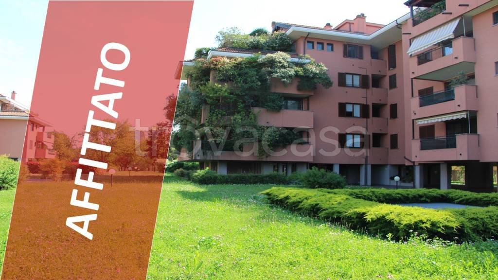 appartamento in affitto a Cernusco sul Naviglio