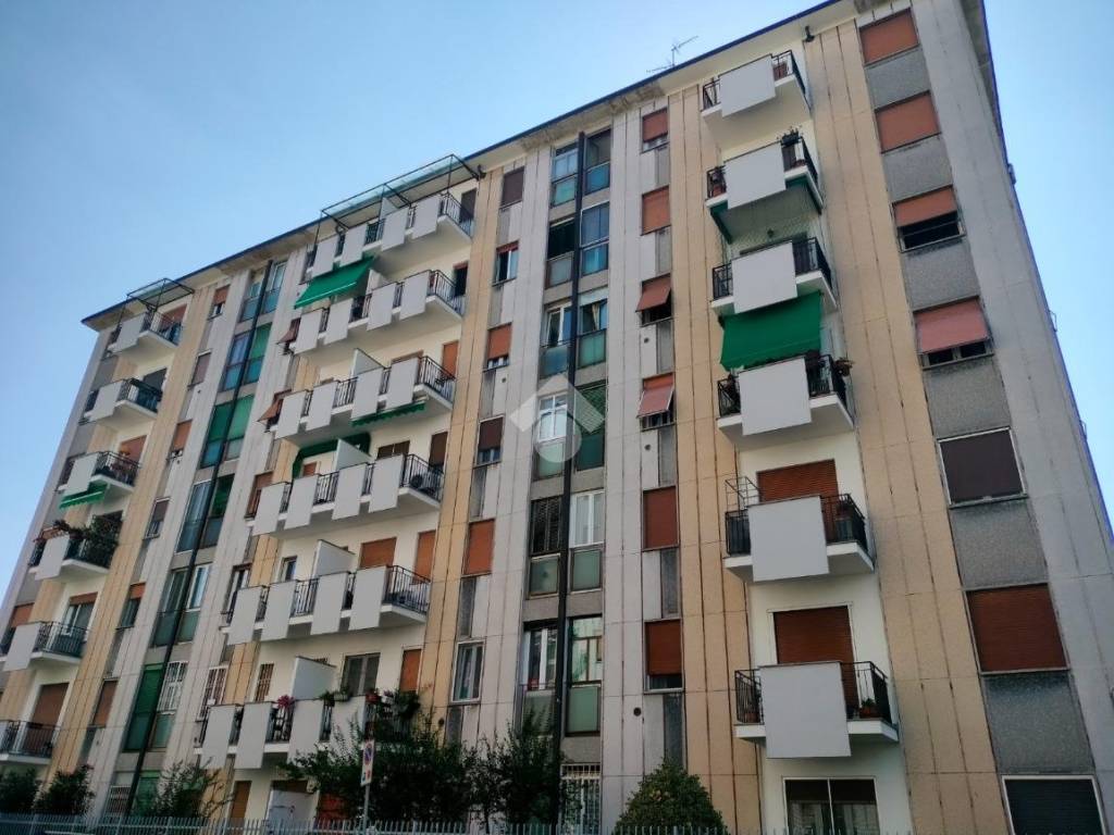 appartamento in affitto a Cesano Boscone