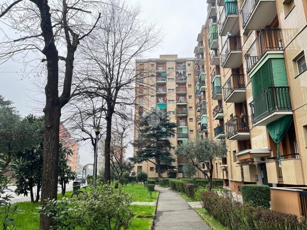 appartamento in affitto a Cesano Boscone