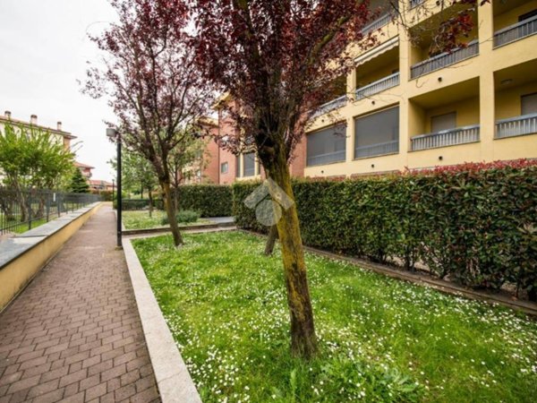 appartamento in affitto a Cesano Boscone
