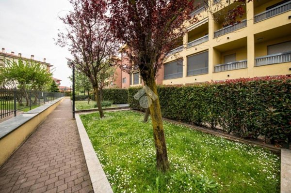 appartamento in affitto a Cesano Boscone