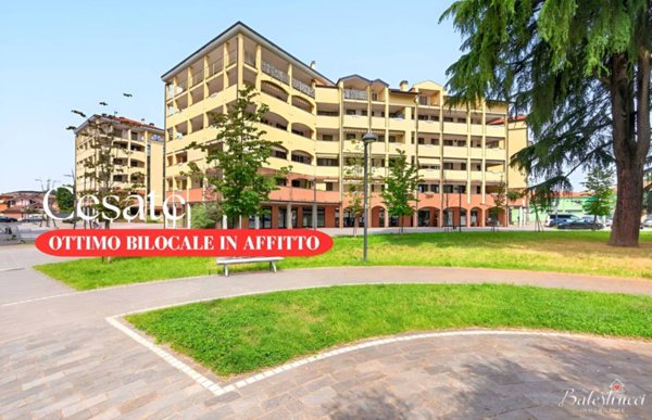 appartamento in affitto a Cesate