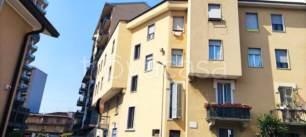 appartamento in affitto a Cinisello Balsamo