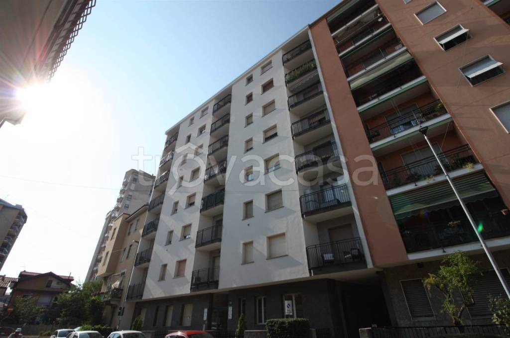 appartamento in affitto a Cinisello Balsamo