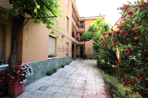 appartamento in affitto a Cinisello Balsamo
