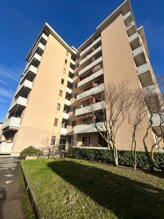 appartamento in affitto a Cinisello Balsamo